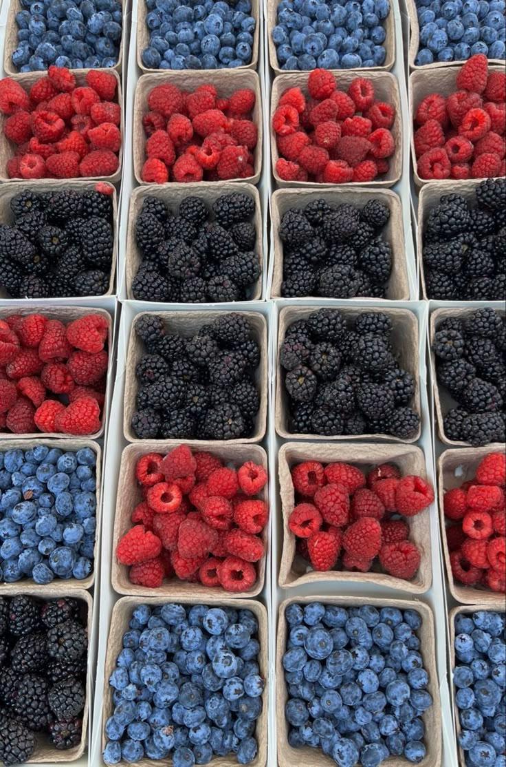 Country Patchwork: Seasonal Berry Harvest